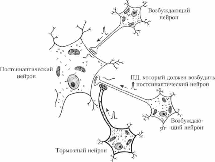 ����� ��������������� �����������