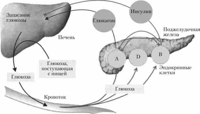 ��������� ����� ������� � ����