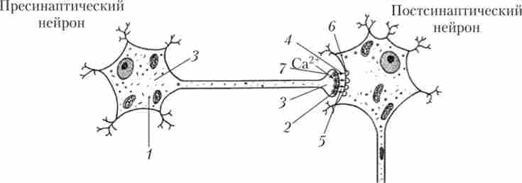 ������ �� ������������ ��������