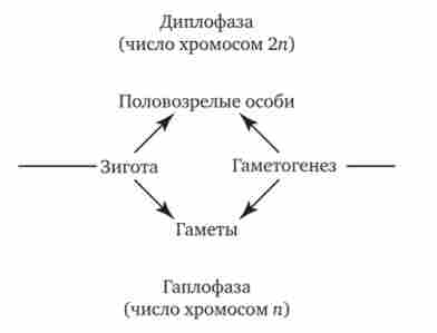 ���� �������� ����� �������������� ������