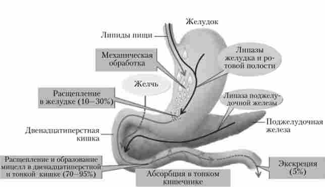 ���� ����