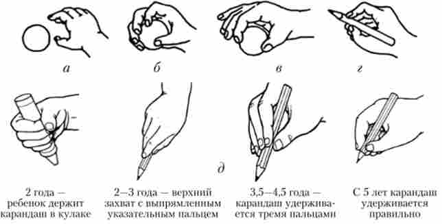 �������� �����������