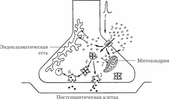 �������� ��������� ����� ������� ������