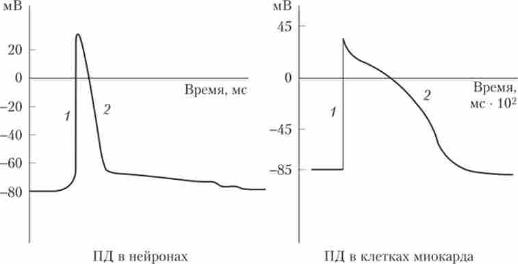 ���� ���������� 䳿 � ������� ������ ����