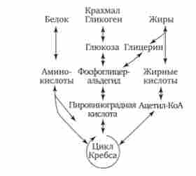 �������'���� ������������������ ����� ����, ���� � ��������� ����� ���� ������