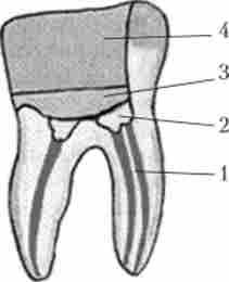 ˳������� ������� ������� ��������� ������