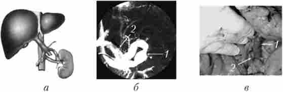 ������������� ��������������� ���������