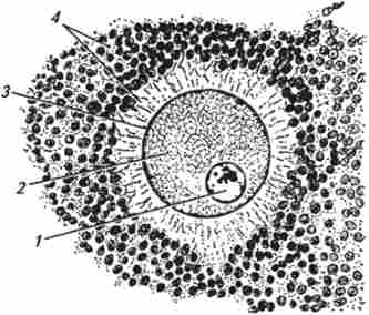 ������ ���������� ������ (�� �. �. �������������� �� ������.)