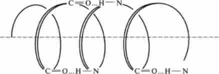 �������� ��������� ������ ��������