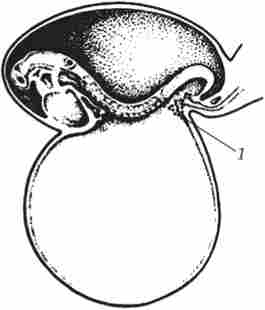 ���������� ��������� �������� ����� (�) � ������� ������ �� ���䳿 16 ������