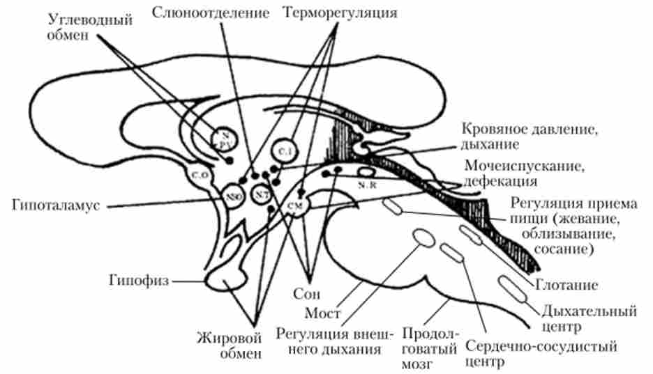 ����������� ������ �������� ����� � �����������