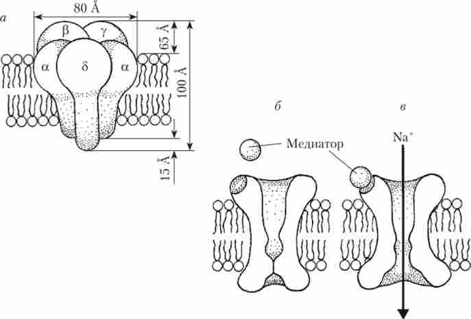 ������ ������ ������������ ��������������