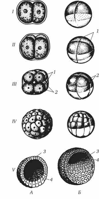 ��������� � �������� ������ � ����� ����� ����������