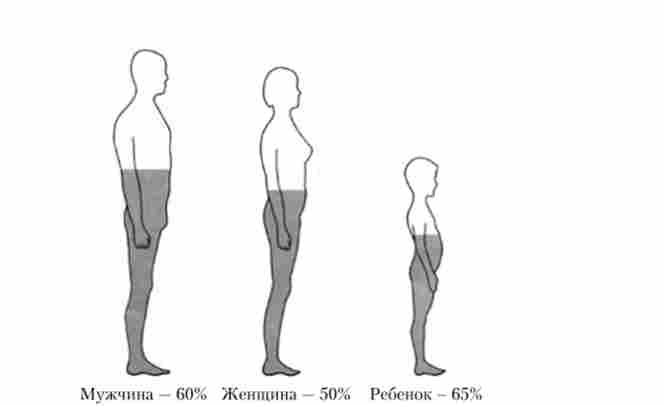 ʳ������ ���� (�% �� ���� ���) � �������� ������ � ������ ���