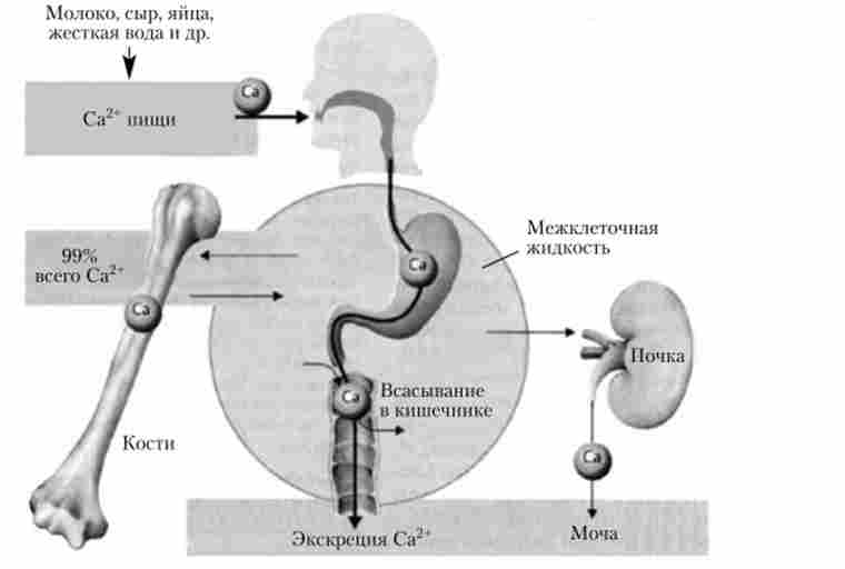��������� ����� ������� � �������� ������