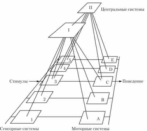 III.1. ���������� ���������, �������� � ����������� ������ ����� ��� ����������� ��������