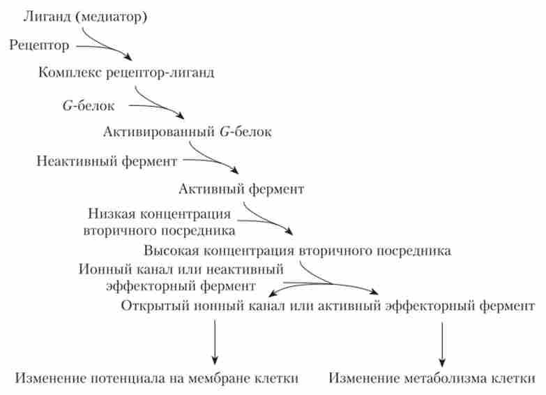 ���������� ����� ������� ������ �������� ������� ���� ������ ������ �� ������������� ��������