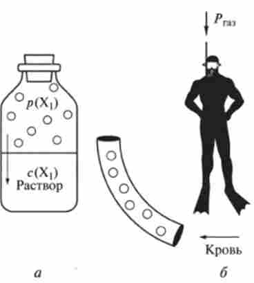 ���� ������ ���� � ������������