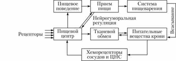 ������������� ������� ����������