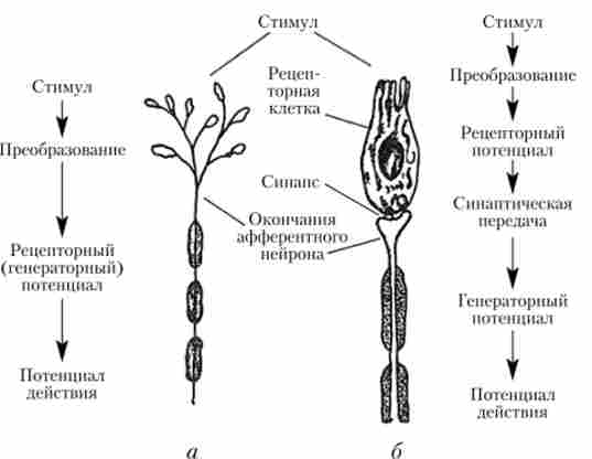 ������������ ����㳿 ������� � ������ �������� � ����������