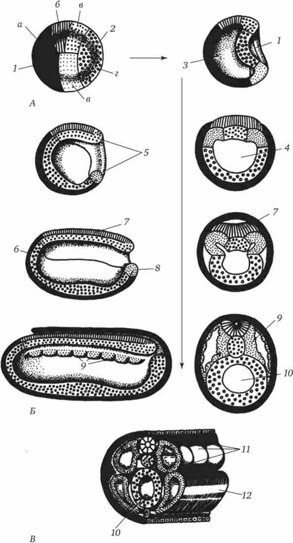 ������������� �������, ����������� � ���������� � ����������