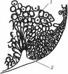 ���������� ������ � ������ ���������� ������ �������� ������