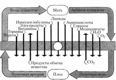 ��������� ������� ����� �������� � ��������� �����������, ��������� � ���������� ����� �����