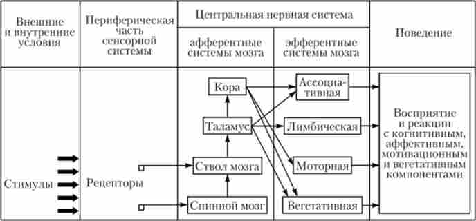 �������� ������������ ��������