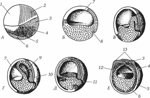 ����� �������� ������������� ������� ������� �� ������ ������ ������������� �������� ������