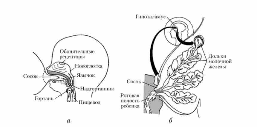 �������� ��������� � ������������� ������ (�); ��������� �������� (�)