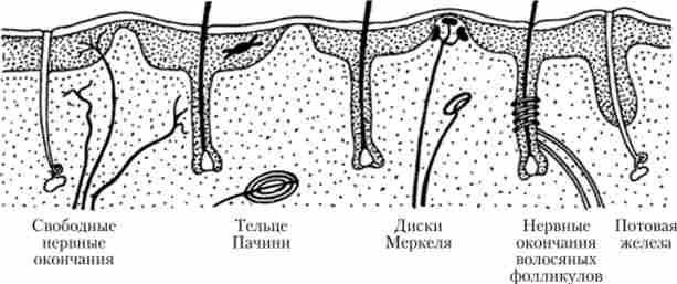 ��������� ��������� ����