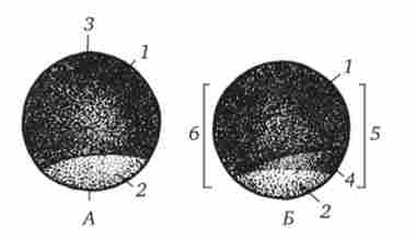 ������������� ���������� � ������� ����'���� ����