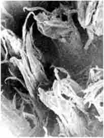 ��������� ���������� ����� ���������� �������� ����� ������� ������ (���������� �������� ���������)