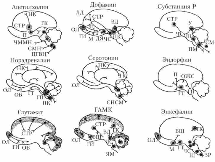 ������� ��������, �� ������ ���� ��������, � ��������� ����� �������