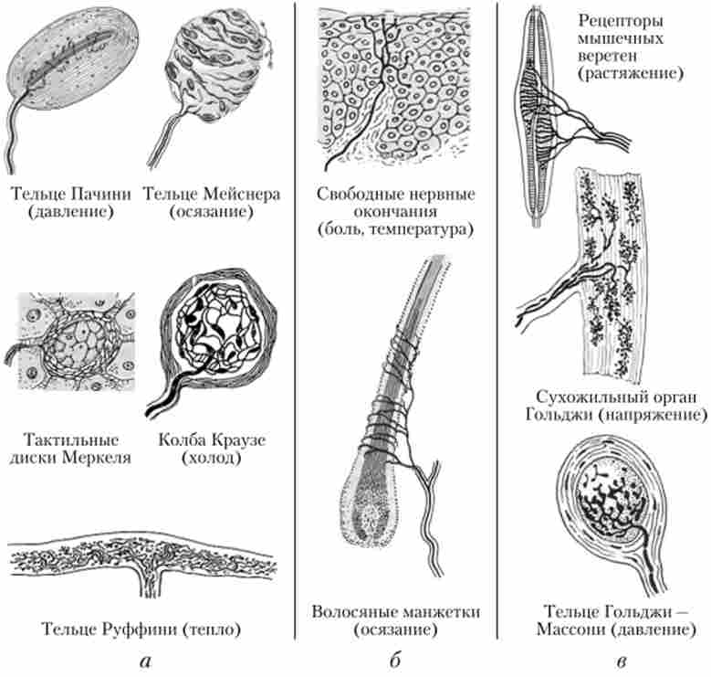 ���� ������������������� ����������� ��������