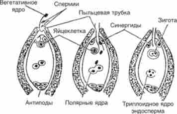 ����� ��������� ���������� � �������������� ������