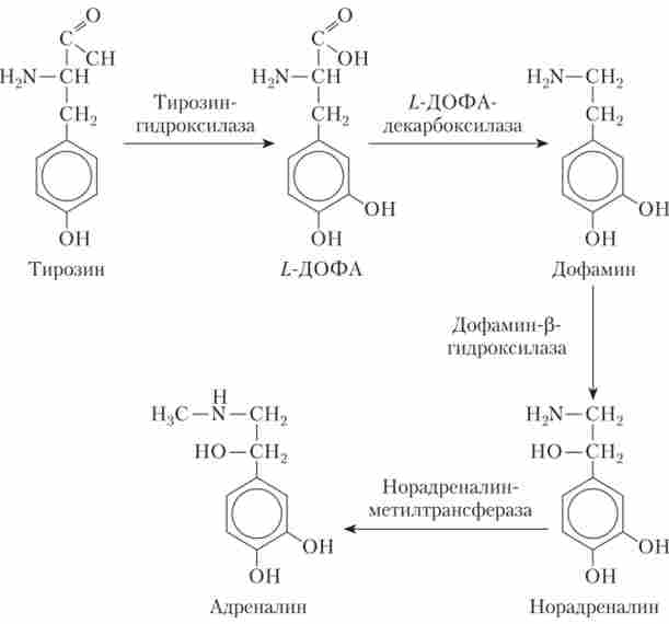 ����� ������� ������������ � ���������; ��������, �� ���������� �� �����