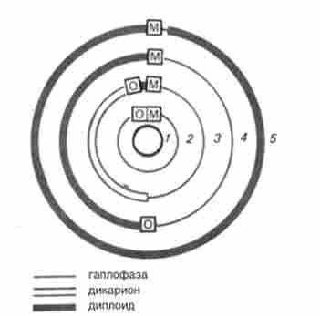 ������� ���� ������� ����� � ����� � ������������ �������