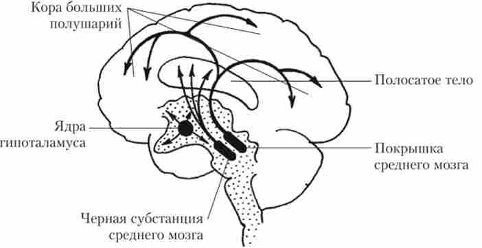 ����� ������������ � ��������� ����� ��������, �� ���������� ������, � ������� �� �������