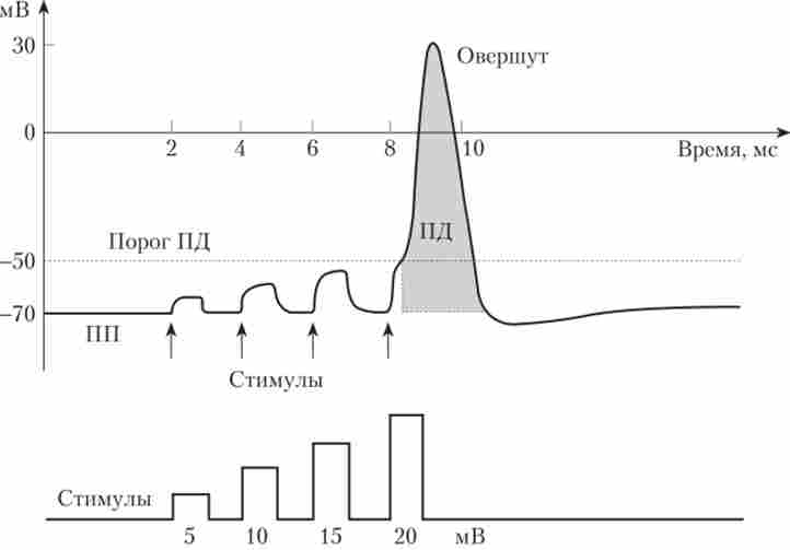 �������� ���������� 䳿 ��� ����������� ������� ����������� �� ��������� ������������ ���������