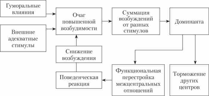 ����� ���������� ��������