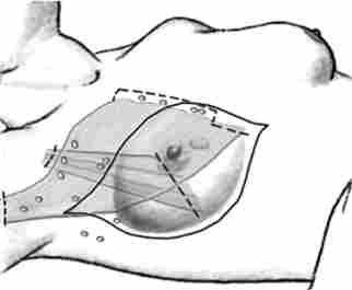 ����� ��������� ���������� ��������쳿 �� ������ - ������