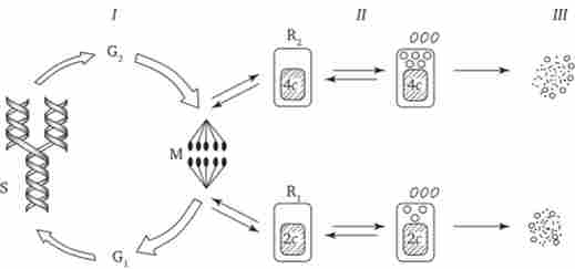 ������� ���� ������ ��������������� ���������