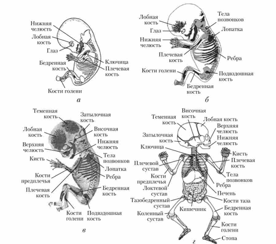 ������ ������� �� �������-���'����� ����� (�, �) � ����� (�) ������; ������ ��������������� (�) (���� ��������� ���� ��������)