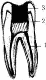 ˳������� ������� ������� �����������