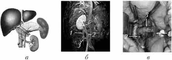 ������������������� // - ���������