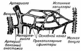 ����� ������������������ ����� � ��������, �������� (�������) ��������� �����, �� ������� ������ ��������� � ��������� ������� ����� (��������), � ����� ����� ��������� �������� (������)