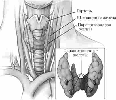 ������������ ��������� � �������������� ����� ������