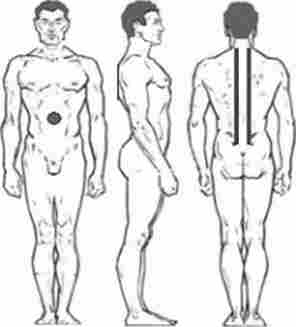 ����� ������������ �� ������� ������ ����������� ������