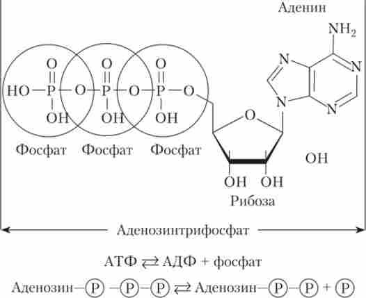 ���������� ������� ��� � ������� ���-���